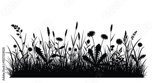 A black silhouette of wildflowers grasses and dandelions against a white background