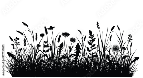 Black and white silhouette of wildflowers and tall grasses against a stark white background