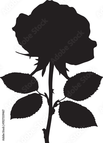 Silhouette of a single person walking on a beach during a colorful sunset