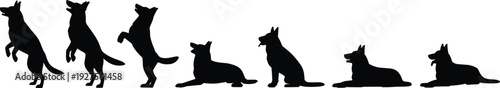 Dog silhouette set in different poses, standing sitting lying and jumping, black vector illustration isolated on white background