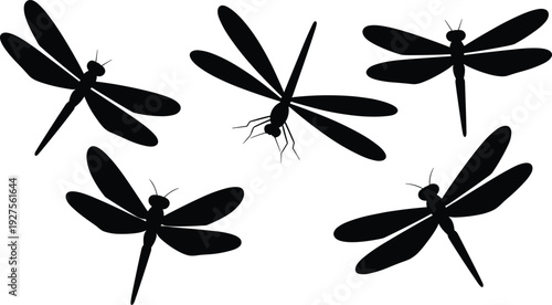 Dragonfly silhouette collection set, black flying insect icons isolated on white background for nature, wildlife and design illustration