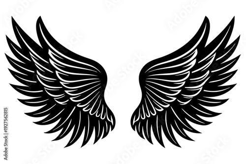 Fantasy Angel Wings Silhouette Vector Graphic Isolated