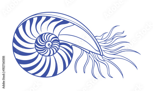 Marine sea shell coral icon set minimal ocean nature symbols collection vector illustration, easily editable.