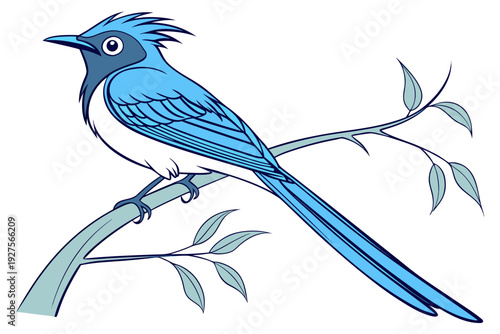 An exquisite illustration of a slender blue bird with a prominent crest and a dramatically long tail, gracefully perched on a leafy tree branch.