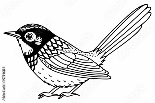 Wallpaper Mural A detailed black and white outline illustration of a small, charming bird standing on the ground, showcasing intricate feather patterns and a keen eye. Torontodigital.ca