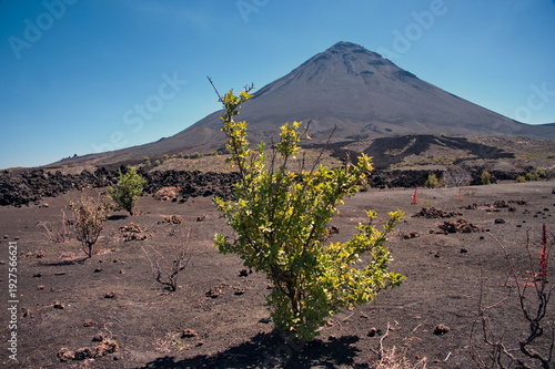 Fogo volcano on Fogo island on Cape Verde
