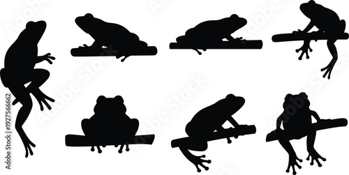 Frog silhouette vector illustration with diverse poses, branch sitting artwork, climbing design, amphibian anatomy concept, black nature art inspiration