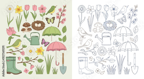 A collection of spring-themed illustrations featuring flowers, birds, gardening tools, and umbrellas, presented in both color and outline formats.