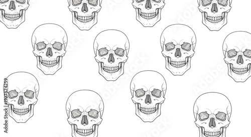 Repetitive pattern of human skulls in a simple line drawing style on a clean white background is suitable for edgy designs.