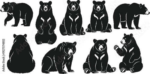 Black bear illustration vector set, grizzly and black bear mascot collection, forest wildlife animal graphics isolated on white background, bundle,