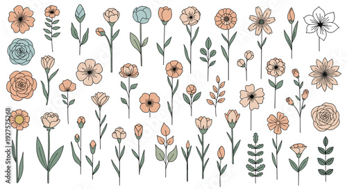 Extensive set of individual hand drawn flowers and leaves in muted tones of peach and green for creating custom floral designs and bouquets.