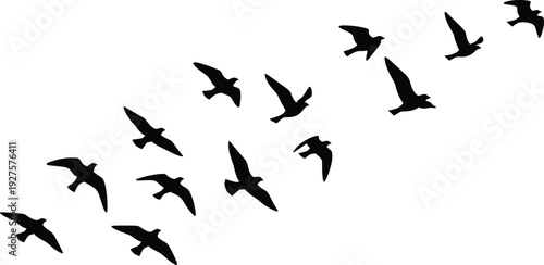 WBlack Bird Silhouettes Flying in Flock on White Background, Migrating Birds Group Graphic Elements, Wild Animal Vector Illustration Clipart Set, (21 words)eb