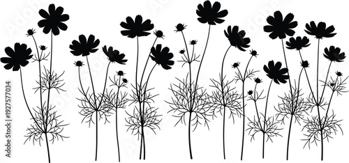 Black bird silhouette vector set, songbird hummingbird and heron collection, flying and perching avian wildlife isolated on white background, bundle,