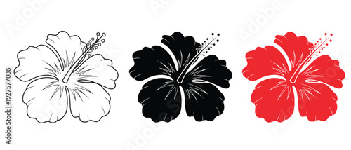 Set of three different colored hibiscus flowers isolated on white