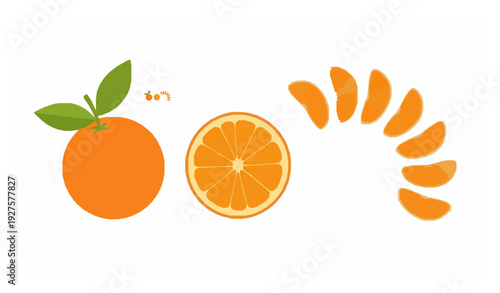 Modern Abstract Fruit Pattern Vector with Citrus Strawberry and Peach Minimal Graphic Design