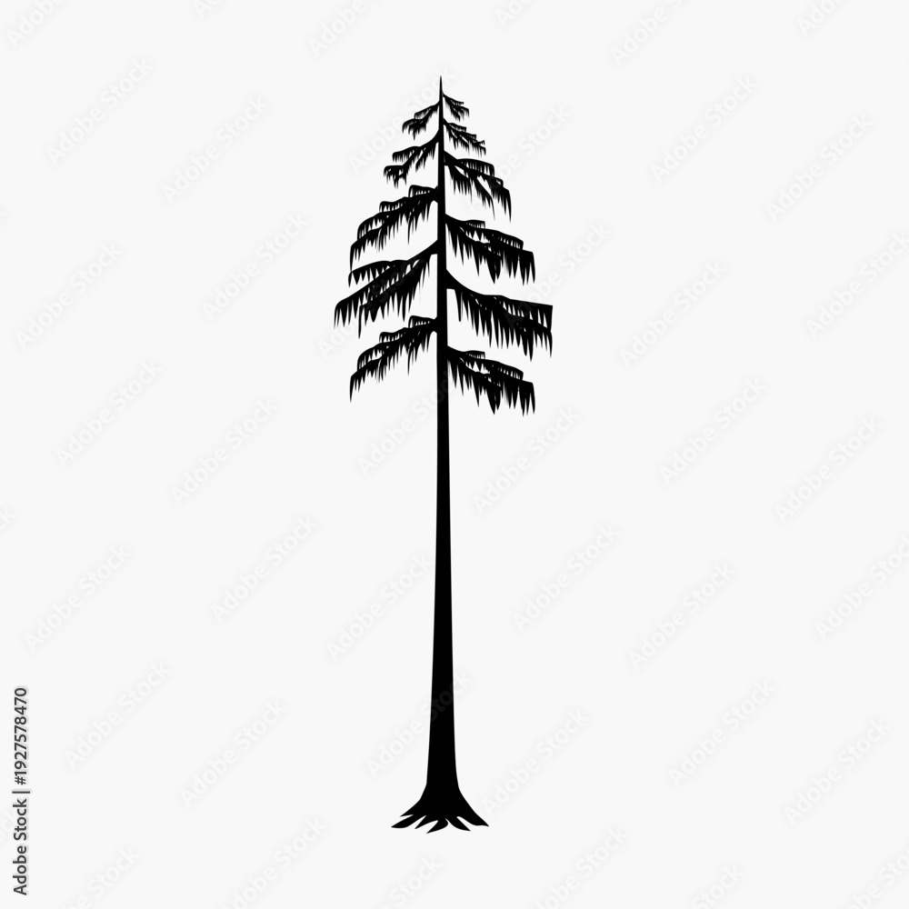 Fototapeta premium Unique Conifer Tree Silhouette Minimalist Style