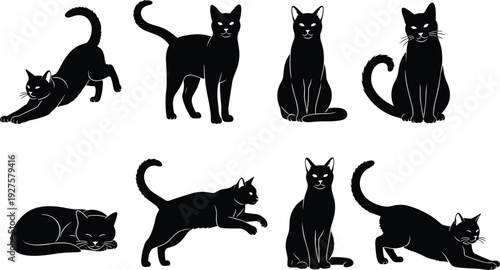 Black cat silhouette vector set, sitting and stretching domestic feline collection, playful kitten poses, isolated house pet graphics on white, bundle.
