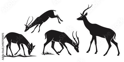 Four different types of deer silhouettes in a natural setting Vector