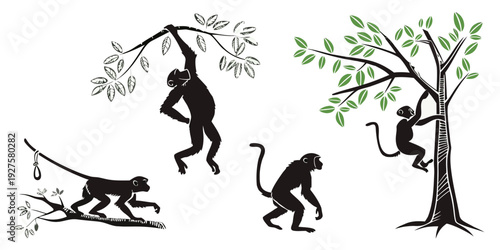 Monkeys and kangaroo playing in trees and on the ground Vector