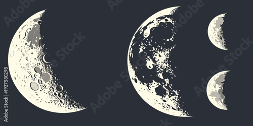A detailed depiction of the moon phases from new moon to full moon and back to new moon Vector