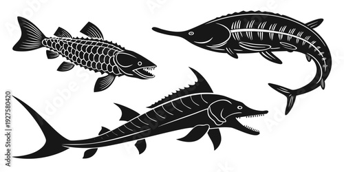 A diverse collection of fish and marine life swimming in the ocean Vector
