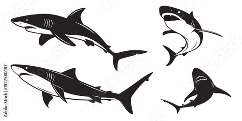 A group of sharks swimming in the ocean, showcasing their streamlined bodies and sharp fins. Vector