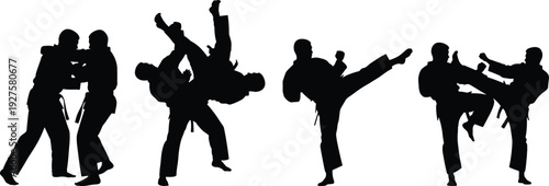 Martial arts combat silhouettes, karate sparring, taekwondo kicking, judo throw, aikido grappling, kungfu fighting, martial discipline, training practice, martial arts illustration, flavector