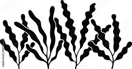 Seaweed and underwater plant silhouettes isolated on white background, marine algae vector illustration set for ocean, aquatic nature design