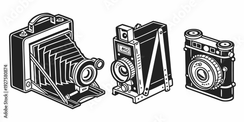 Vintage cameras displayed in a row with detailed designs visible Vector