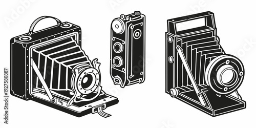 Vintage cameras displayed on a white background with black accents Vector
