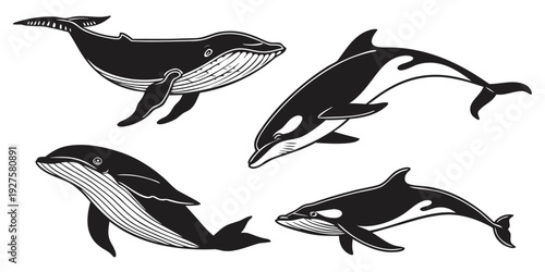 A group of five different whale species swimming together in the ocean Vector