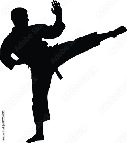 Martial arts silhouette, karate high kick, taekwondo stance, judo practice, aikido move, kungfu training, martial discipline, combat fitness, martial arts illustration, flavector