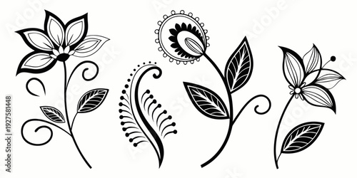 A collection of elegant black and white floral illustrations with intricate details Vector