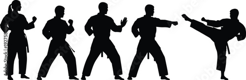 Martial arts silhouettes, karate gi, defensive stance, punching pose, high kick, combat training, discipline, fitness, sport, teamwork, flavector