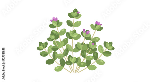 Green plant with flowers, Vector Illustration, Nature, Botanical, Design, for print, isolated