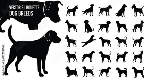 Vector silhouette dog breeds collection, various canine profiles and poses, isolated on white background, domestic pet illustration set