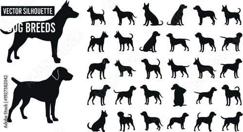 Dog breeds vector silhouette set, collection of different canine profiles, isolated on white background, domestic pet illustration pack