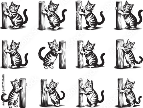 Kitten Scratching Post