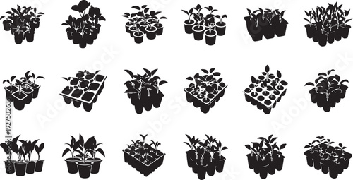 Black and white plant silhouettes in various pots arrangement