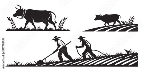 A historical depiction of oxen and humans working together in agriculture. Vector