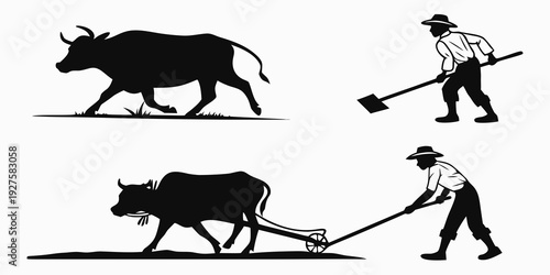 Historical agricultural scene featuring oxen and a farmer plowing a field. Vector