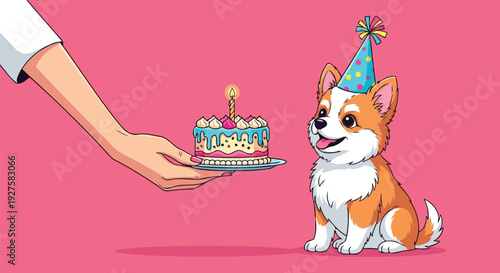 Corgi dog with party hat looking at birthday cake vector art