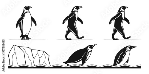 Penguins demonstrating various movements and interactions in their natural habitat Vector
