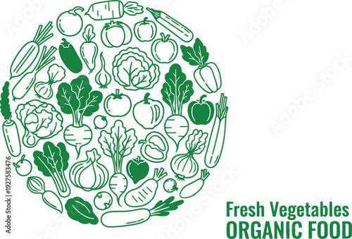 Fresh organic vegetables vector illustration, green flat design graphic