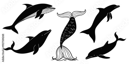 A diverse collection of various whale species swimming in the ocean. Vector