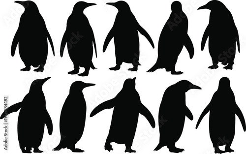Antarctic penguin silhouettes set, flightless emperor birds standing and walking in various natural wildlife poses, vector