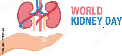World kidney day illustration with kidneys above a hand, promoting awareness and care for kidney health