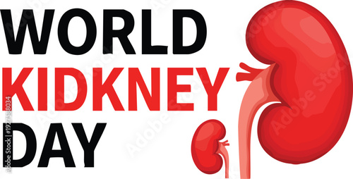World kidney day illustration with human kidney anatomy graphic