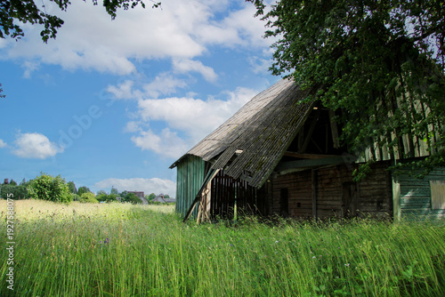 Abandoned wooden barn with weathered timber walls and a sloping roof sits at the edge of a summer meadow