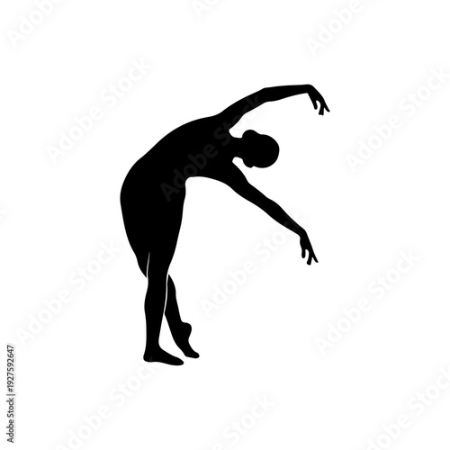 Silhouette of a Dancer in a Graceful Pose.